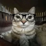 netu1nteressa